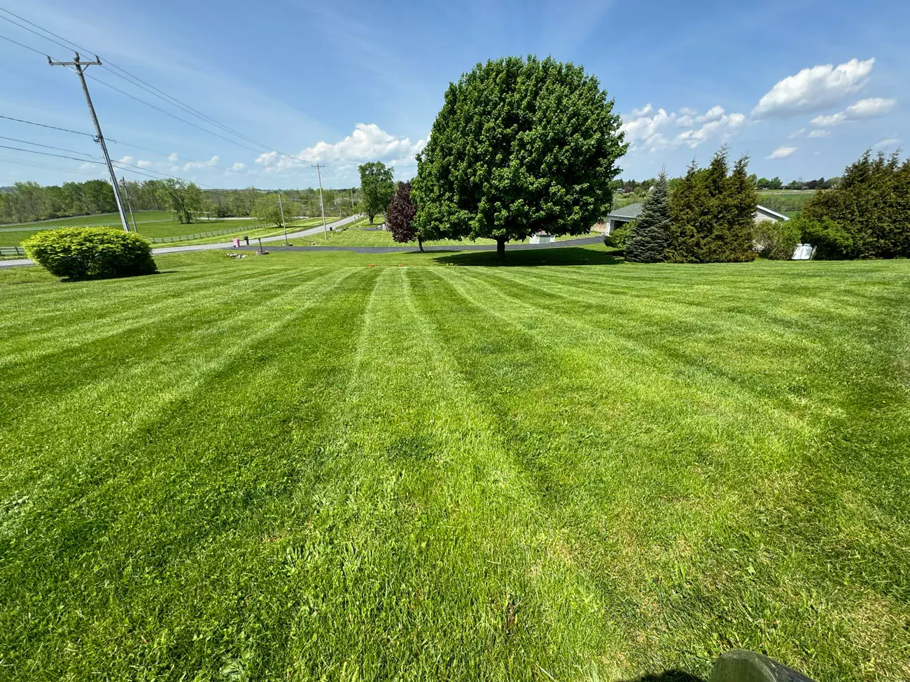 Fall leaf removal and seasonal cleanup in the Finger Lakes