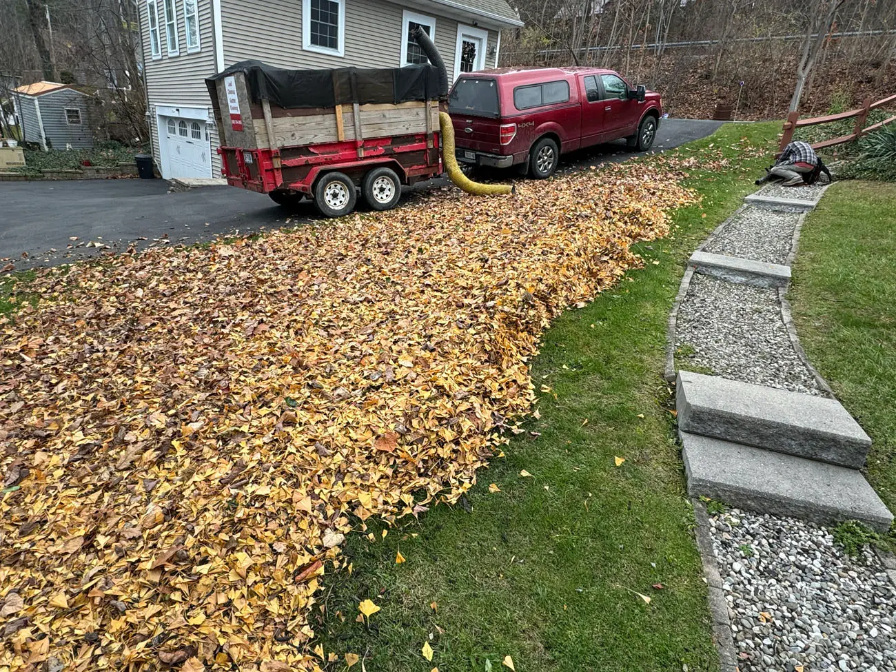Seasonal Cleanup Services services in Livonia, NY