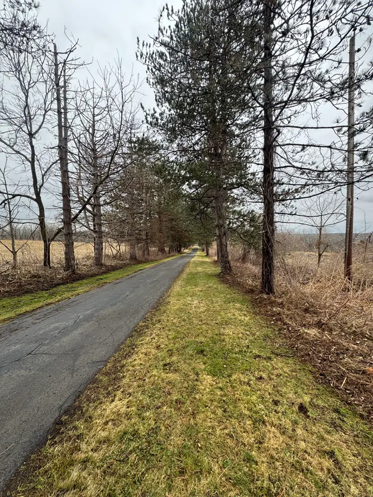 Tree, Brush & Trimming Services project by Oasis Property Care