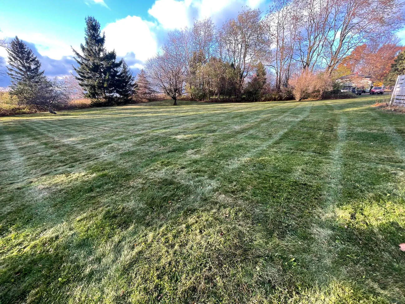 Snow & Ice Management process